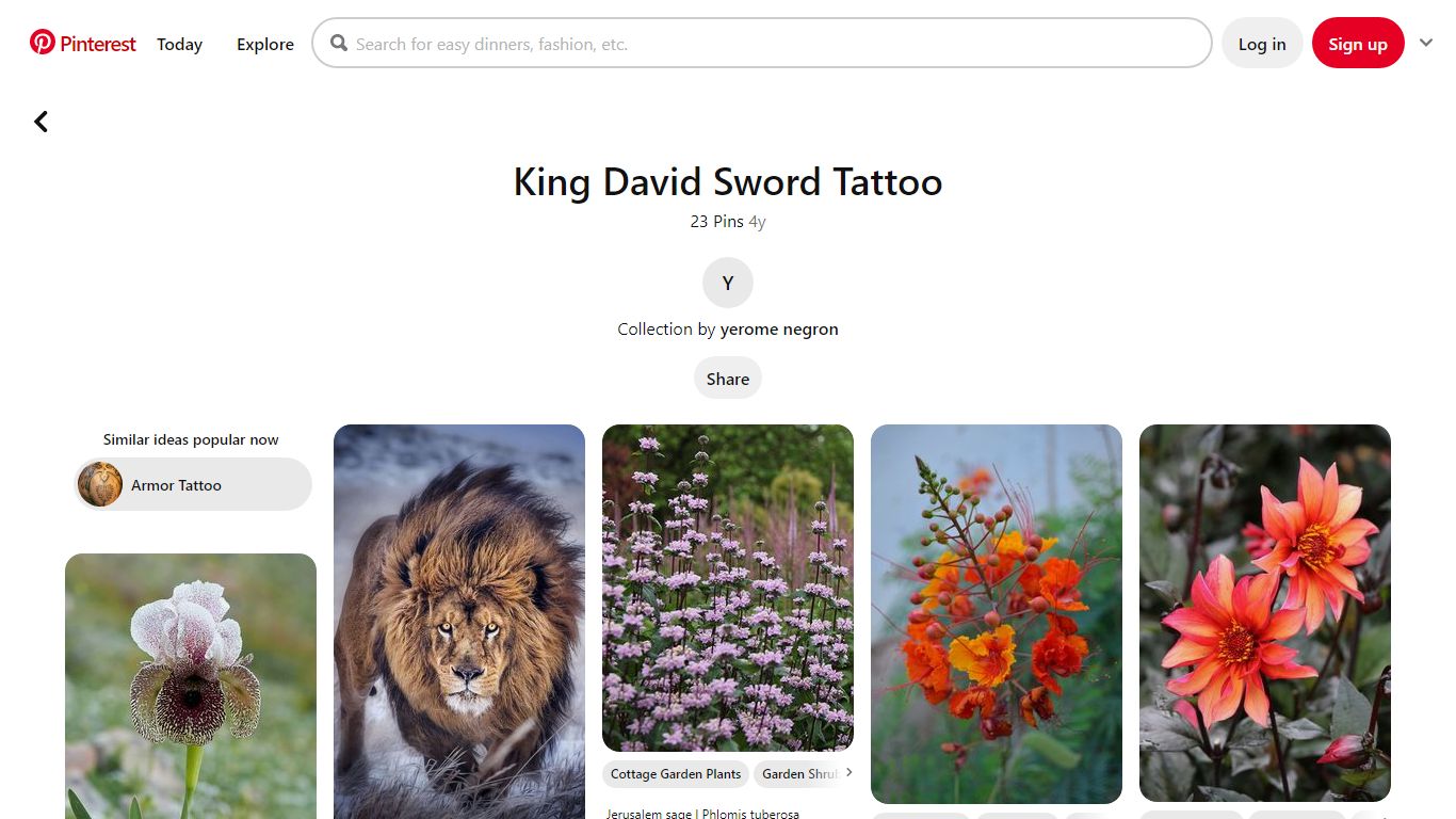 23 King David Sword Tattoo ideas | sword tattoo, sword, king david